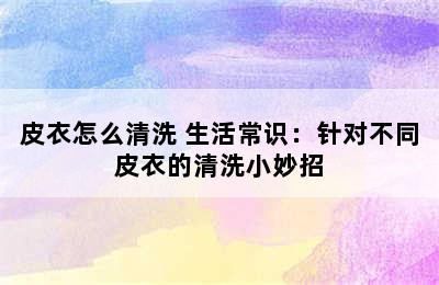 皮衣怎么清洗 生活常识：针对不同皮衣的清洗小妙招